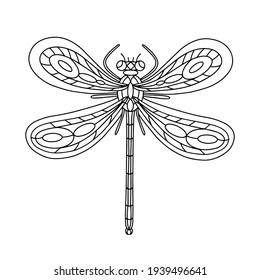 Dragonfly Beetle-Insect coloring book. Dragonfly linear vector illustration. Anti-stress coloring book for adults and children. Hand-drawn doodle coloring page.