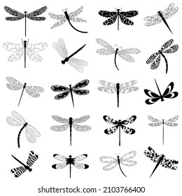 dragonfly black silhouette, set, isolated