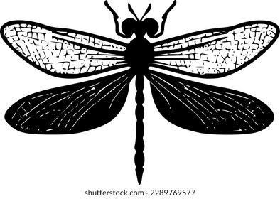 Dragonfly - Black and White Isolated Icon - Vector illustration