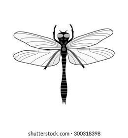 Dragonfly in black and white - vector illustration