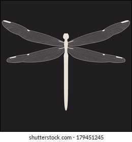 Dragonfly brown wings