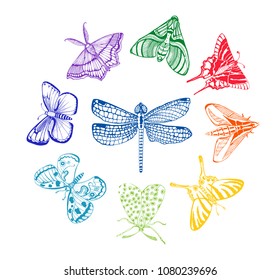 dragonfly and butterfly set colored outline illustration isolated on white background