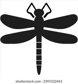 Drachenfliege, Nahaufnahme, Draufsicht einzeln auf weißem Hintergrund. Vektorgrafik