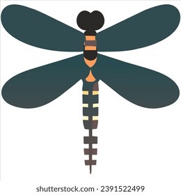 dragonfly close up top view isolated on white background. vector