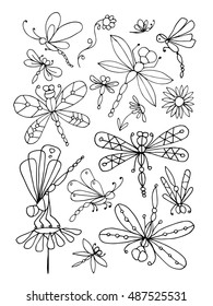 Dragonfly collection, sketch for your design