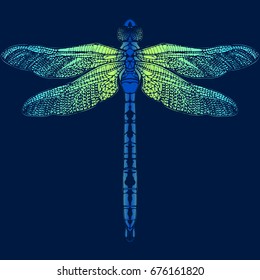 Dragonfly colored print