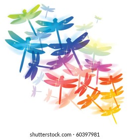 dragonfly colorful design