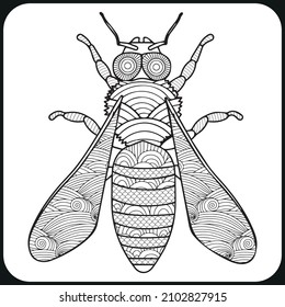 Dragonfly coloring book for adults