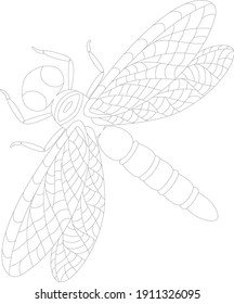 dragonfly coloring page close up without background