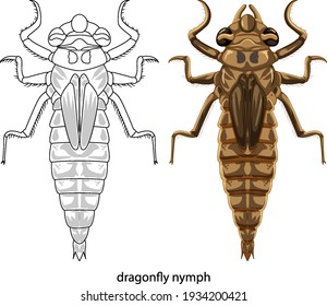 Dragonfly in colour and doodle on white background illustration