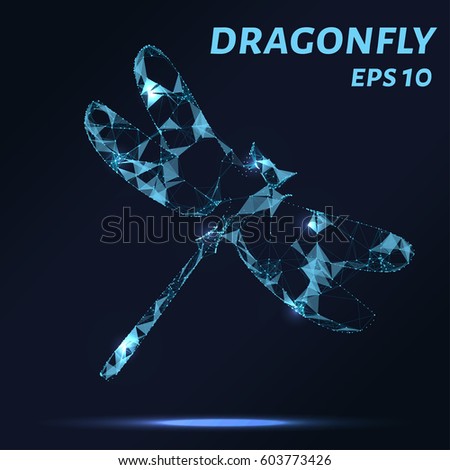 Dragonfly consists of points, lines and triangles. The polygon shape in the form of a silhouette of a dragonfly on a dark background. Vector illustration.