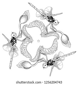 The dragonfly crouched on the stem of a blooming flower. Black and white contour image of the repeating elements. Graphics