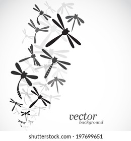 Dragonfly design on white background - Vector Illustration