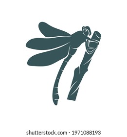 Dragonfly design vector illustration, Creative Dragonfly logo design concept template, symbols icons