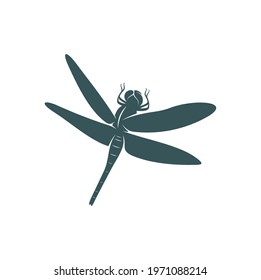 Dragonfly design vector illustration, Creative Dragonfly logo design concept template, symbols icons