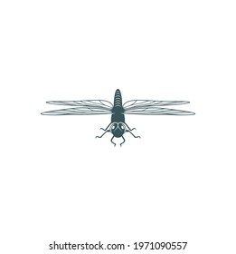 Dragonfly design vector illustration, Creative Dragonfly logo design concept template, symbols icons