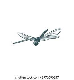 Dragonfly design vector illustration, Creative Dragonfly logo design concept template, symbols icons