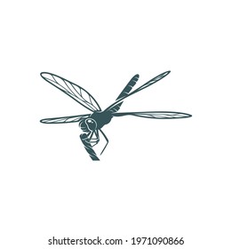 Dragonfly design vector illustration, Creative Dragonfly logo design concept template, symbols icons