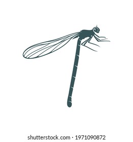 Dragonfly design vector illustration, Creative Dragonfly logo design concept template, symbols icons