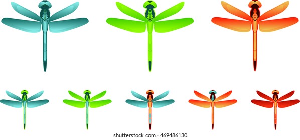 Dragonfly in different color settings