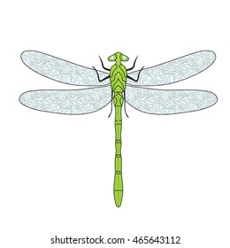 Dragonfly doodle hand drawing style. Vector illustration