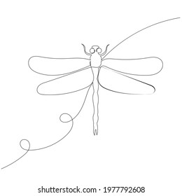 dragonfly drawing by one continuous line, sketch