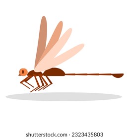 dragonfly drawing flat color, an insect that flies