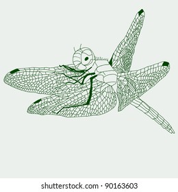 dragonfly  drawing , vector.