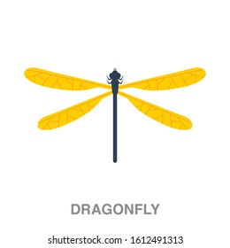 Dragonfly flat icon on white transparent background. You can be used dragonfly icon for several purposes.