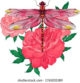 libélula con flores peonatos de ilustración vectorial rosa