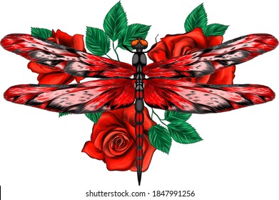 dragonfly with flowers roses red  vector illustration
