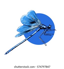 dragonfly flying sketch the vector on a background of blue circle