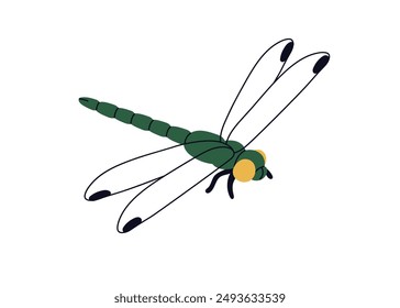 Dragonfly flying. Small summer insect in flight. Dragon fly soaring, gliding in air. Little fauna, winged animal. Flat graphic vector illustration isolated on white background