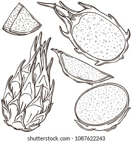 Dragonfly fruit vector illustration, vector