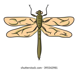 dragonfly green