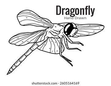 Dragonfly hand drawing with simple style, flat design, black outline, ink, editable, animal, insect, white background