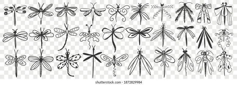 Dragonfly hand drawn doodle set