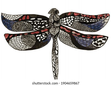 Dragonfly hand drown vector illustration, color, black and white, red, blue.