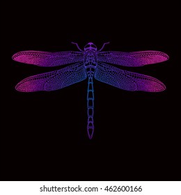 Dragonfly Hand-drawn vector illustration in steam-punk style.