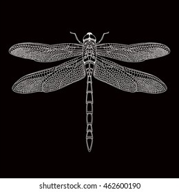 Dragonfly Hand-drawn vector illustration in steam-punk style.