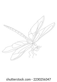 Dragonfly highlighted on white. Vector stock illustration. The silhouette of an insect.