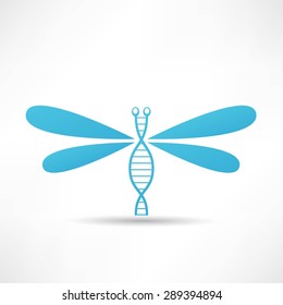 Dragonfly icon