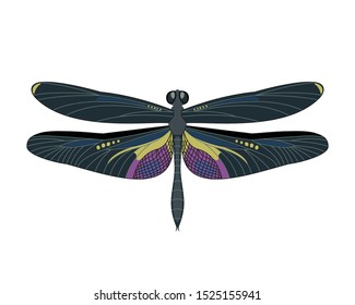 Dragonfly icon in flat style isolated on white background. Design element for print templates, websites, web and mobile phone apps. Vector illustration.