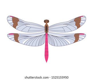 Dragonfly icon in flat style isolated on white background. Design element for print templates, websites, web and mobile phone apps. Vector illustration.