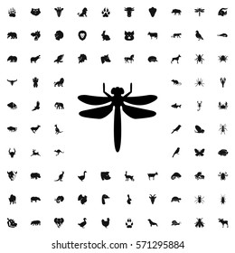 dragonfly icon illustration isolated vector sign symbol