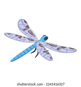 Dragonfly icon isometric vector. Insect wing. Bug fly