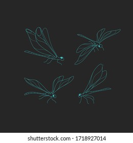 Dragonfly icon set. Different type of dragonfly. Vector illustration for prints, clothing, packaging, stickers.