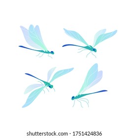 Dragonfly icon set. Different type of dragonfly. Vector colorful illustration for prints, clothing, packaging, stickers.