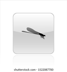 Dragonfly icon vector design. Dragonfly vector