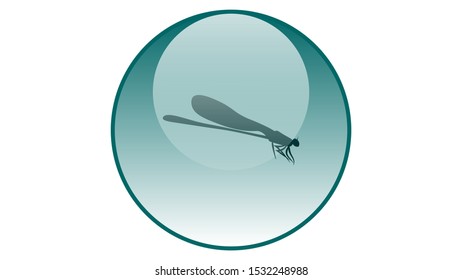 Dragonfly icon vector design. Dragonfly vector	
